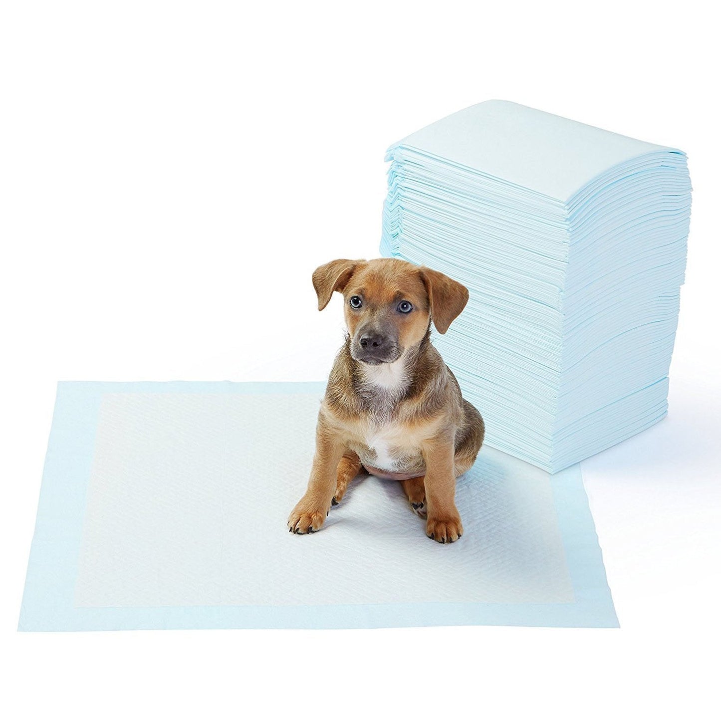 🐶🧼 Absorbent Leak-Proof Dog Potty Pads(20 Pcs)-Make Potty Training A Breeze For Your Pup✨