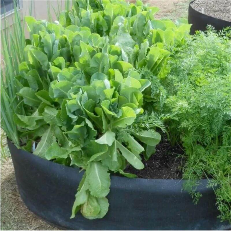 🌷Fabric Round Raised Garden Bed Planter Pots For Planting Herb Flower Vegetable Potato Plants