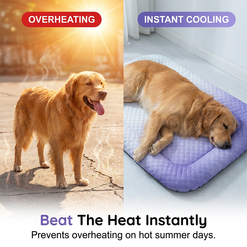 🎁Last Day Promotion 60% OFF🔥Pet Cooling Mat for Dogs & Cats 🐾  Naturally Cool Ice-Silk Pad • Breathable, Washable & Soft 🌿  For Floors, Sofas & Car Travel • Multiple Sizes • Gradient Colours ☀️🐶🐱