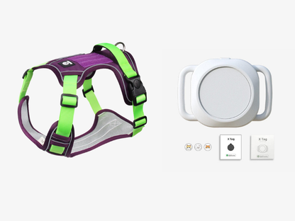 📢📢50% OFF !! 🐶 No Pull Dog Harness With Leash & Collar LED - Walks Just Got Easier ✨