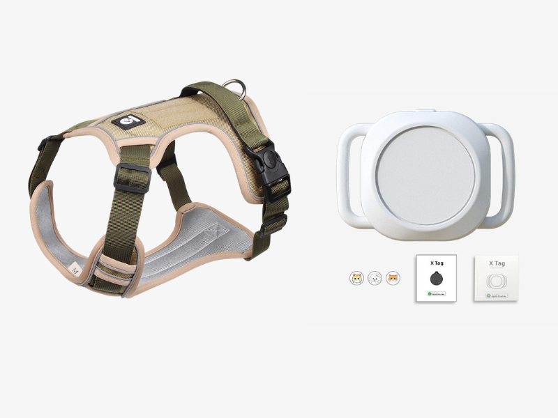 📢📢50% OFF !! 🐶 No Pull Dog Harness With Leash & Collar LED - Walks Just Got Easier ✨