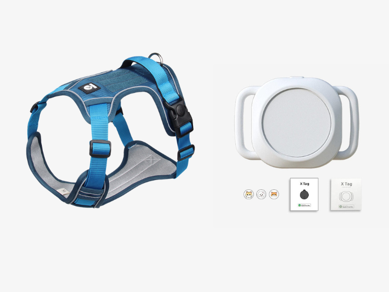 📢📢50% OFF !! 🐶 No Pull Dog Harness With Leash & Collar LED - Walks Just Got Easier ✨