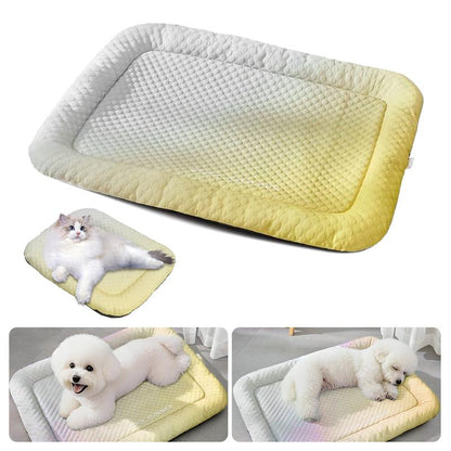 🎁Last Day Promotion 60% OFF🔥Pet Cooling Mat for Dogs & Cats 🐾  Naturally Cool Ice-Silk Pad • Breathable, Washable & Soft 🌿  For Floors, Sofas & Car Travel • Multiple Sizes • Gradient Colours ☀️🐶🐱