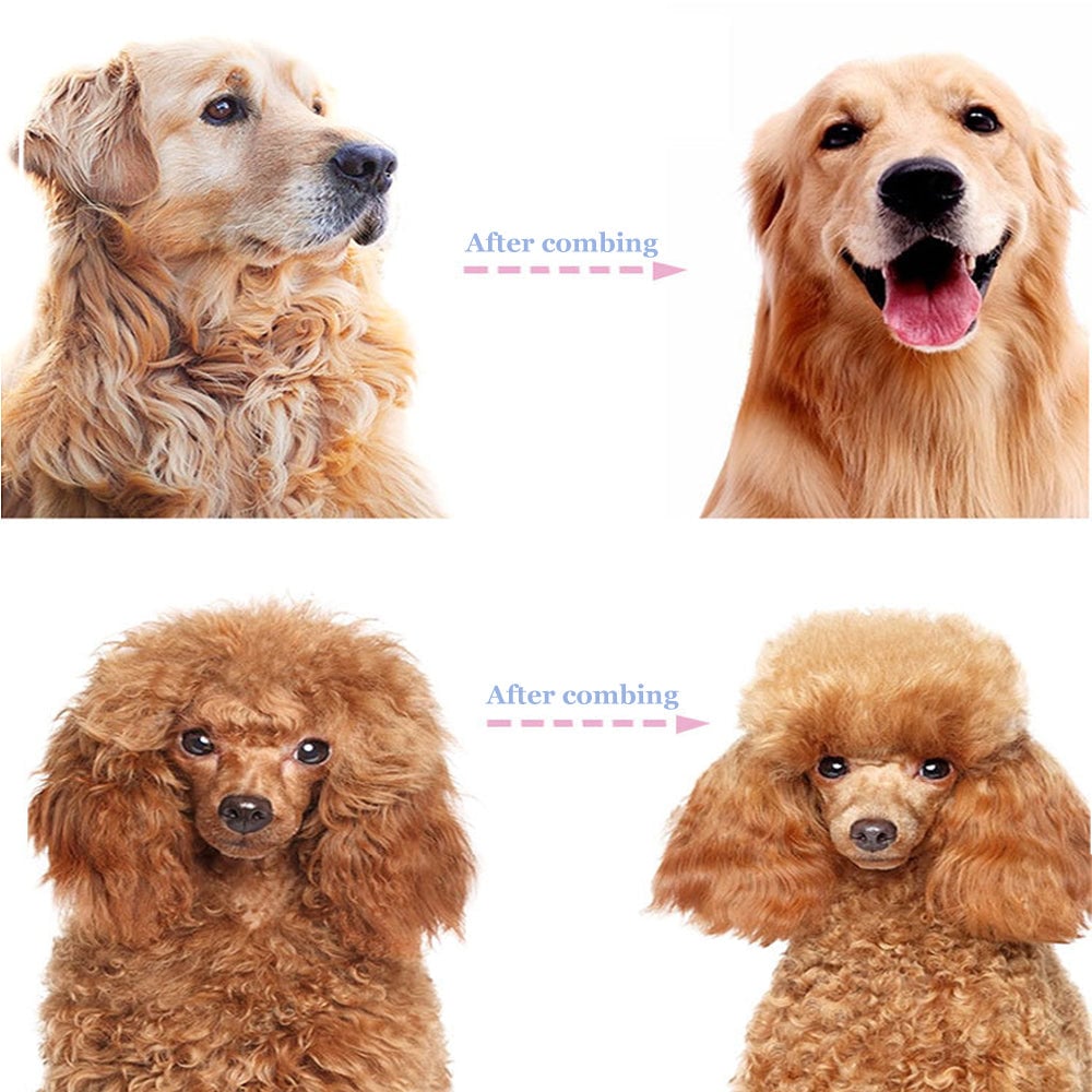 ⏰🔥LIMITED TIME 50% OFF! 🐾 Professional Deshedding Tool for Dogs & Cats – Gentle, Efficient & Fur-Free Home ✨💖