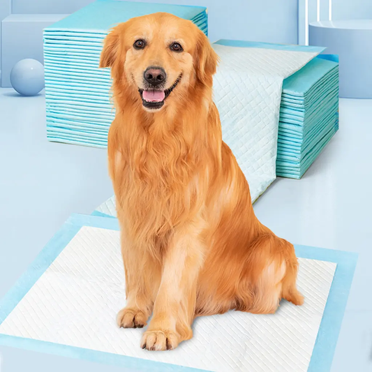 🐶🧼 Absorbent Leak-Proof Dog Potty Pads(20 Pcs)-Make Potty Training A Breeze For Your Pup✨