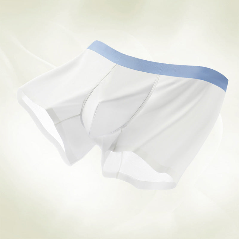 ❄️ Bleiben Sie den ganzen Tag cool! Kühlende Boxershorts für Herren – Eisseidenstoff für maximale Atmungsaktivität