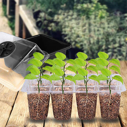 ⏰Limited offer 50% Discount🔥Seed Starter Trays with Grow Light