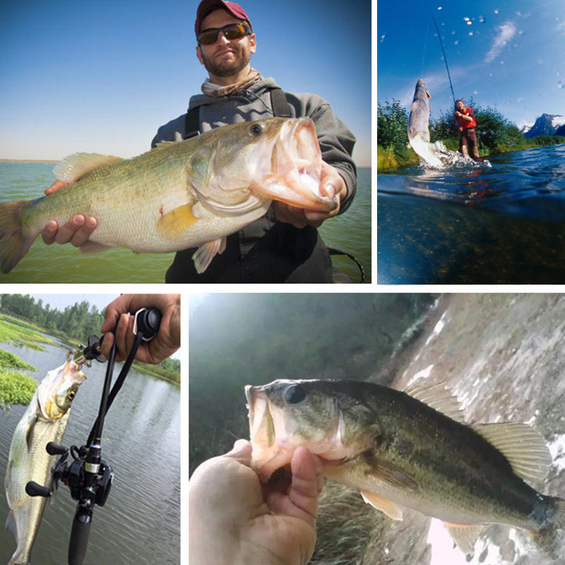 5PCS Lifelike Multi-Jointed Sinking Fishing Lure🎣 Helps You Double Your Catch 🐟