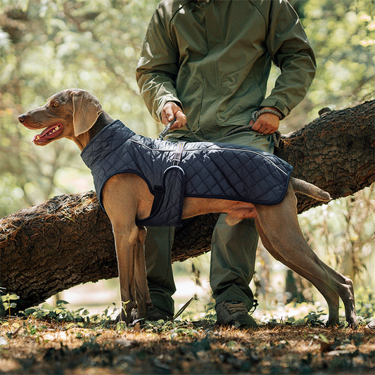 🔥Christmas Limited-Time Offer: 50% OFF!!!🔥Outdoor Reflective Dog Jacket