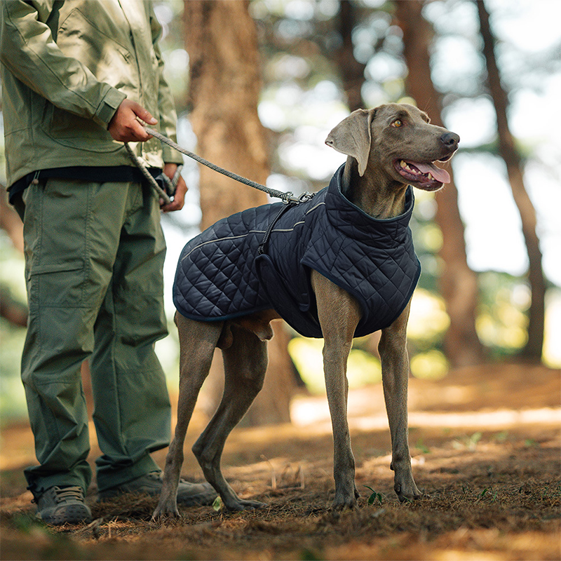 🔥Christmas Limited-Time Offer: 50% OFF!!!🔥Outdoor Reflective Dog Jacket
