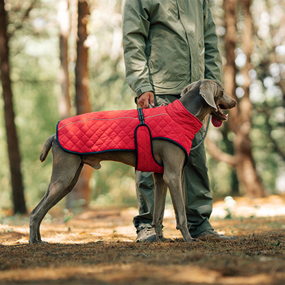 🔥Christmas Limited-Time Offer: 50% OFF!!!🔥Outdoor Reflective Dog Jacket