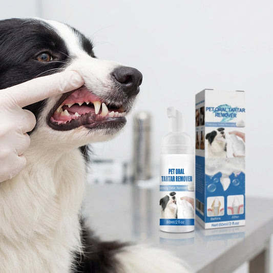 🐾 BUY 1 GET 1 FREE ✨Pet Oral Care Foaming Tartar Remover