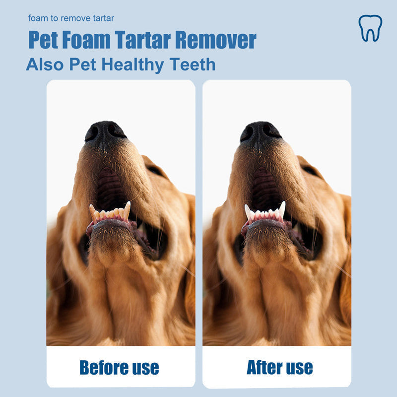 🐾 BUY 1 GET 1 FREE ✨Pet Oral Care Foaming Tartar Remover