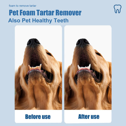 🐾 BUY 1 GET 1 FREE ✨Pet Oral Care Foaming Tartar Remover