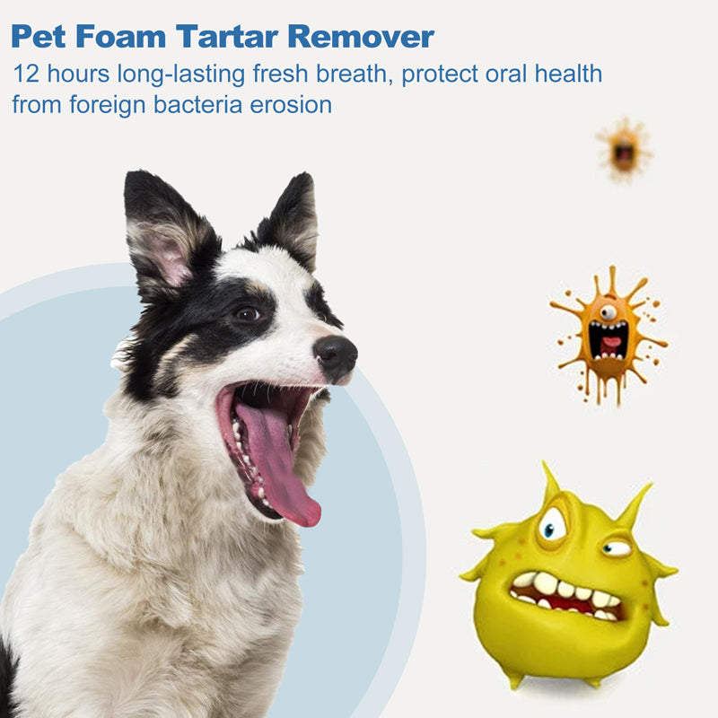 🐾 BUY 1 GET 1 FREE ✨Pet Oral Care Foaming Tartar Remover