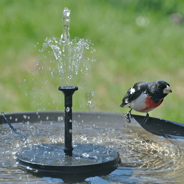 🥳2026 HOT SALE🥳💞50K+ SOLD!🏡🌊 50% OFF! Solar Powered Fountain Pump – Exclusive fixing system keeps it steady. Gauze filter prevents clogging, easy to clean. Low water auto-stop. Attracts birds & butterflies to your garden. 🎁✅