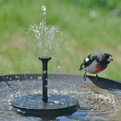 🥳2026 HOT SALE🥳💞50K+ SOLD!🏡🌊 50% OFF! Solar Powered Fountain Pump – Exclusive fixing system keeps it steady. Gauze filter prevents clogging, easy to clean. Low water auto-stop. Attracts birds & butterflies to your garden. 🎁✅