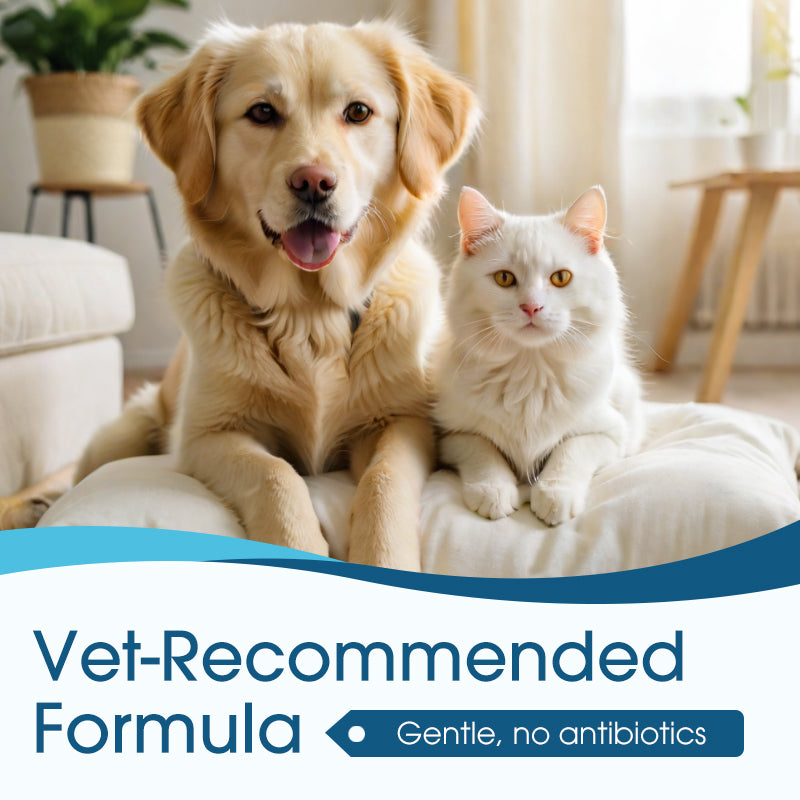 🐾 2026 Sale — Over 68,000 Sold!🔥 Pet Ear Cleaner – Natural Plant Extracts 🌿