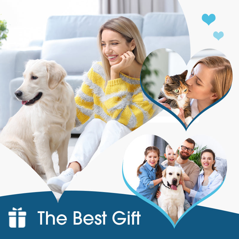 🐾 2026 Sale — Over 68,000 Sold!🔥 Pet Ear Cleaner – Natural Plant Extracts 🌿