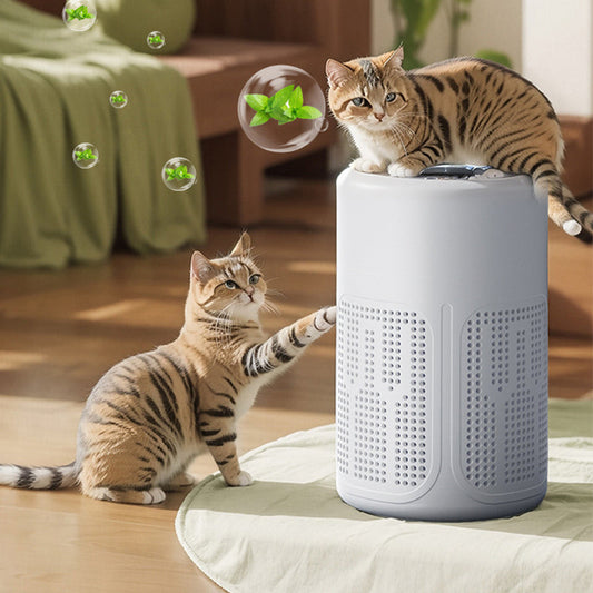 🌬️ 54% OFF! 🔥 Compact home air purifier – 2026 bestseller – Quiet, energy-efficient, and perfect for allergy sufferers, dust, and pet hair 🏠