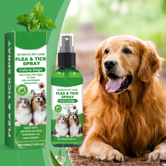 🍃Natural Flea & Tick Spray for Dogs and Cats🐾 Keep Your Beloved Pet Free from Pests