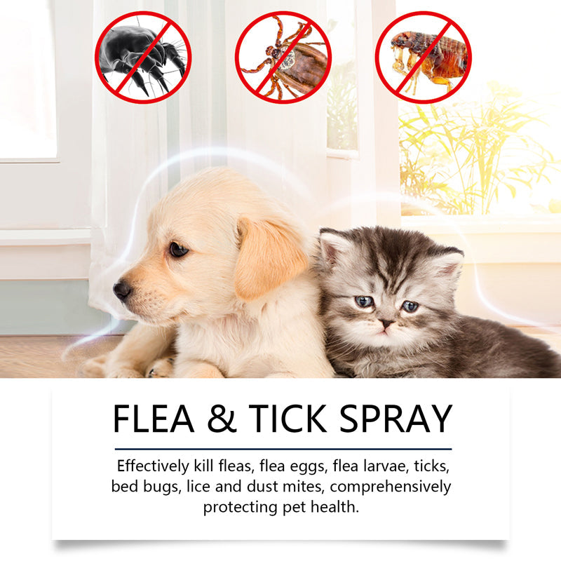 🍃Natural Flea & Tick Spray for Dogs and Cats🐾 Keep Your Beloved Pet Free from Pests