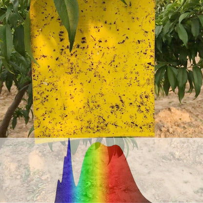 🐞 Super-klebrige doppelseitige Insektenfallen – Halten Sie Ihren Garten schädlingsfrei, bei jedem Wetter🌿