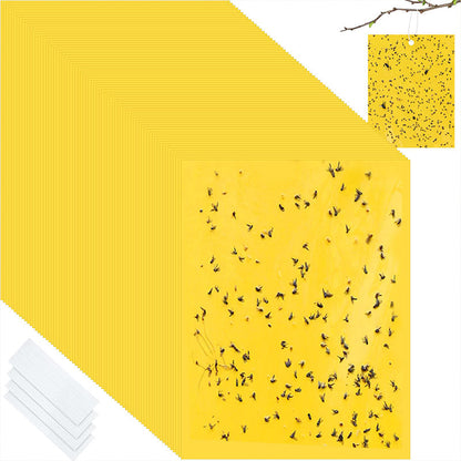 🐞 Super-klebrige doppelseitige Insektenfallen – Halten Sie Ihren Garten schädlingsfrei, bei jedem Wetter🌿
