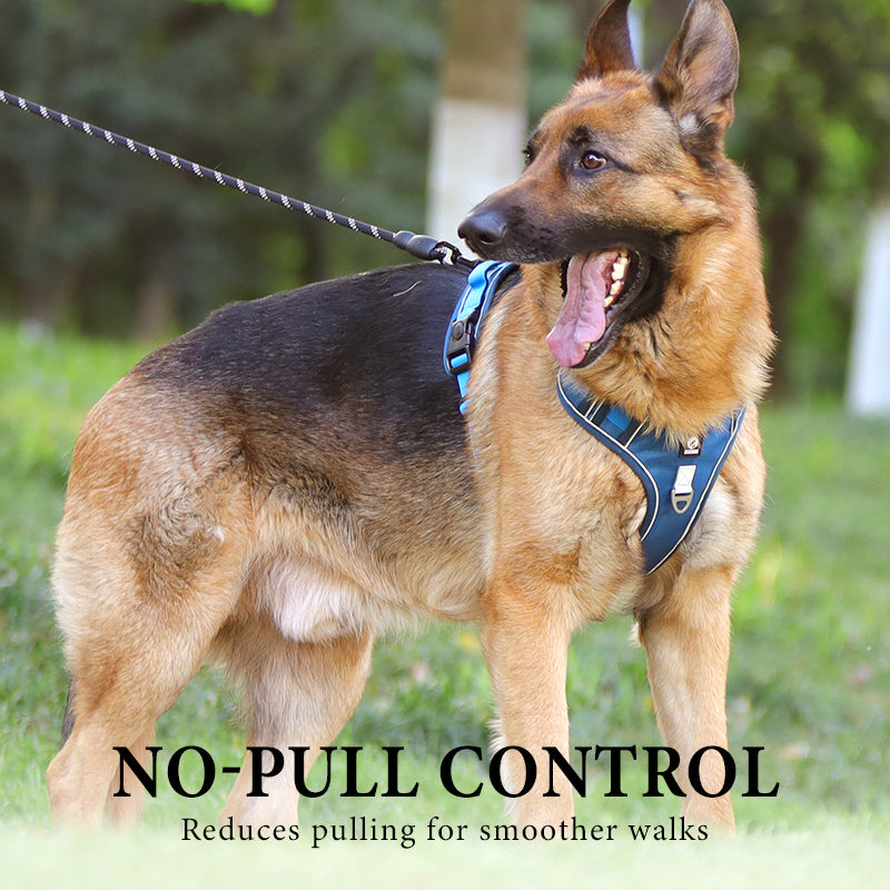 📢📢50% OFF !! 🐶 No Pull Dog Harness With Leash & Collar LED - Walks Just Got Easier ✨