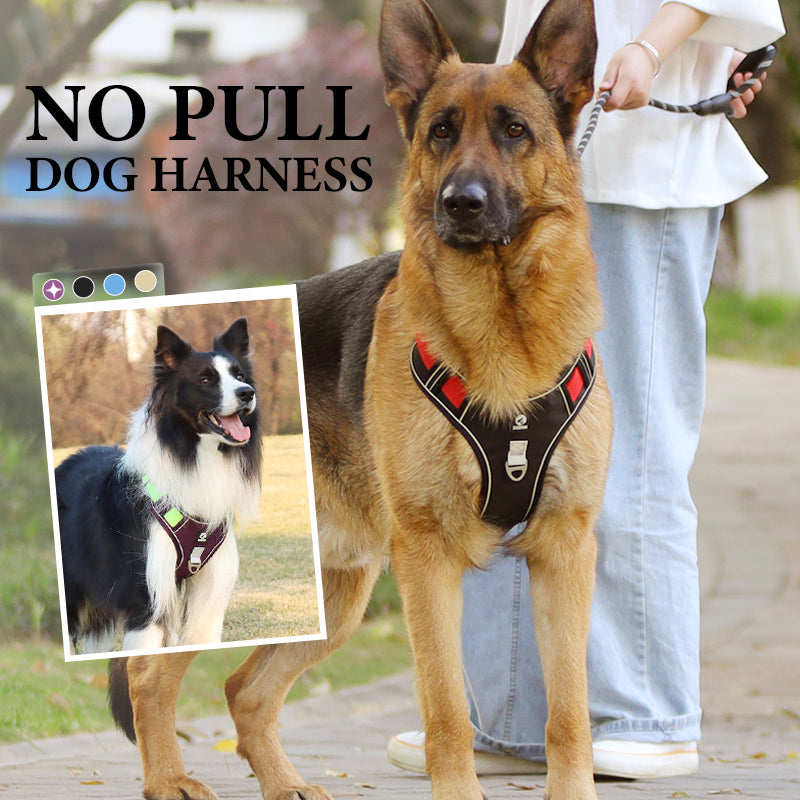📢📢50% OFF !! 🐶 No Pull Dog Harness With Leash & Collar LED - Walks Just Got Easier ✨