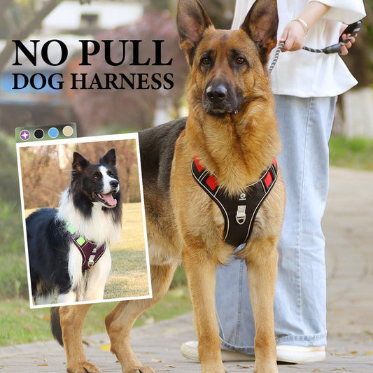 📢📢50% OFF !! 🐶 No Pull Dog Harness With Leash & Collar LED - Walks Just Got Easier ✨