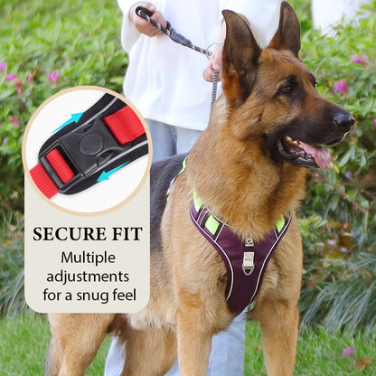 📢📢50% OFF !! 🐶 No Pull Dog Harness With Leash & Collar LED - Walks Just Got Easier ✨