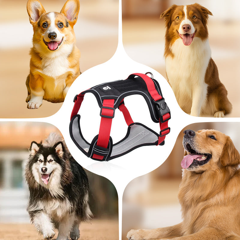 📢📢50% OFF !! 🐶 No Pull Dog Harness With Leash & Collar LED - Walks Just Got Easier ✨