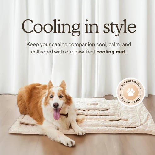❄️🐾Pet Cooling Mat (4x Enhanced Cooling Effect)🐶 A Summer Must-Have For Every Pet Owner