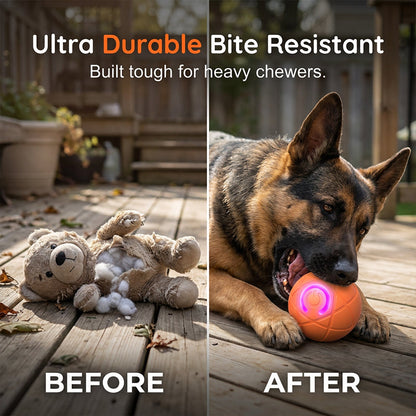 🐾 AUTO-BOUNCING SMART PET BALL WITH REMOTE CONTROL— 3 Interactive Modes | Chew-Resistant E-TPU | USB-C Rechargeable 🎾