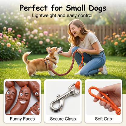 ⏳Limited-time 50% off⏰Playful Sausage Dog Leash🌭🐕