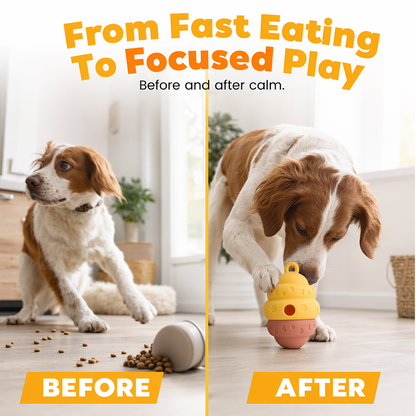 🐶Interactive Pet Slow Feeder & Chew Toy - Stop Boredom & Slow Down Fast Eating🐾 ✨