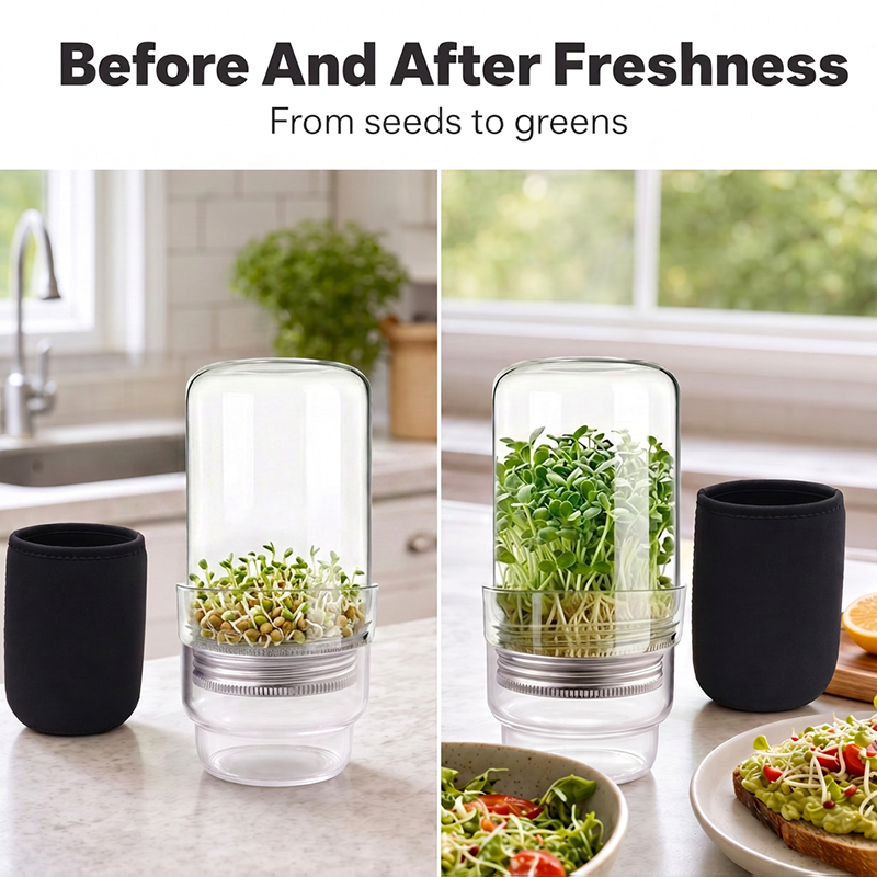 🌱 Grow Fresh Sprouts At Home – Glass Sprouting Jar Kit With Blackout Sleeve🥗
