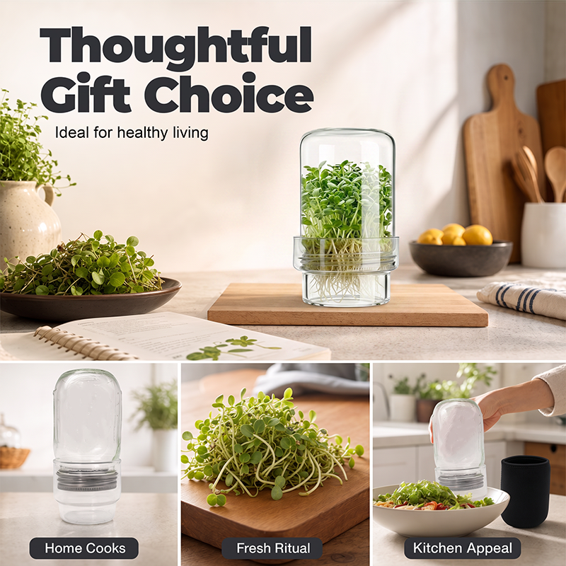 🌱 Grow Fresh Sprouts At Home – Glass Sprouting Jar Kit With Blackout Sleeve🥗