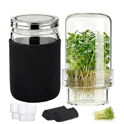 🌱 Grow Fresh Sprouts At Home – Glass Sprouting Jar Kit With Blackout Sleeve🥗
